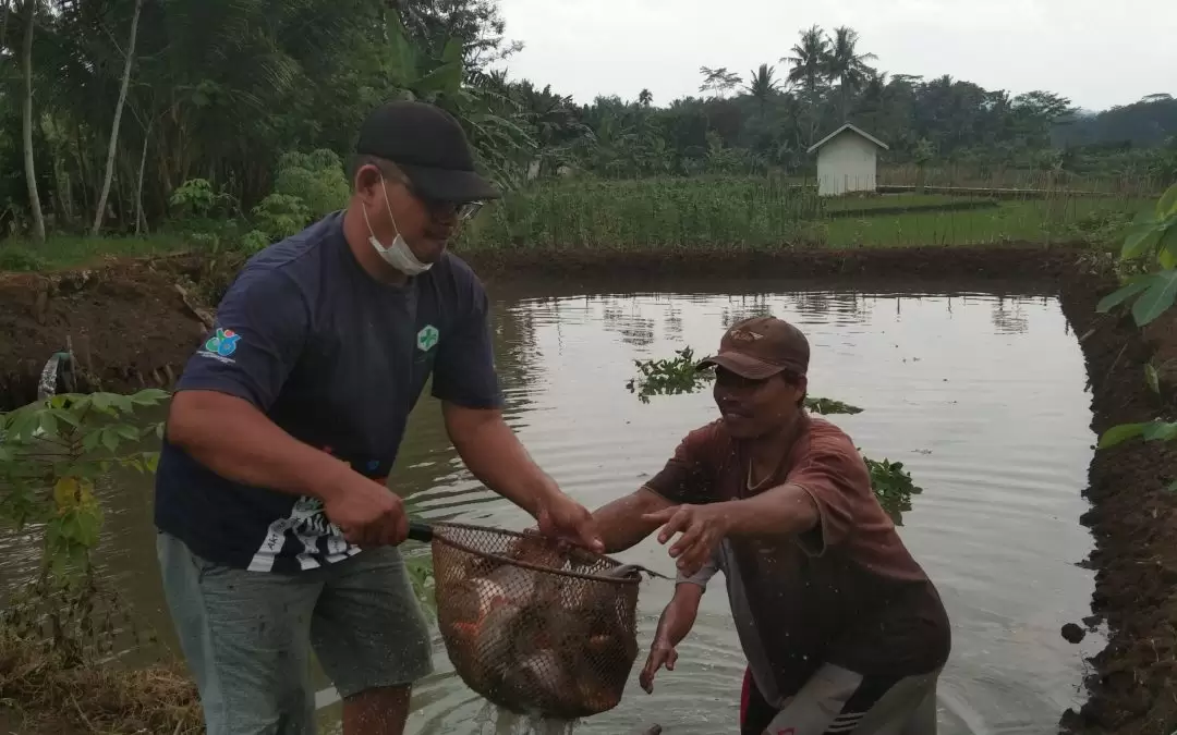 Musyawarah Kerjasama BUMDes dengan Kelompok Ikan UJEBA